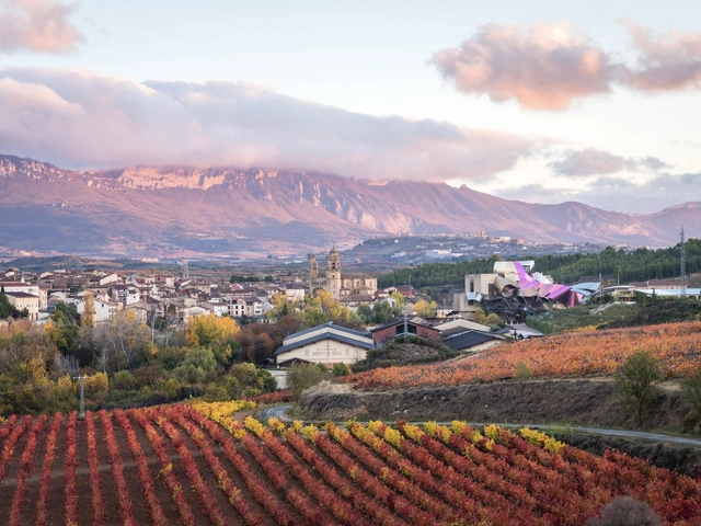 Rioja Wine & Gastronomic Experience