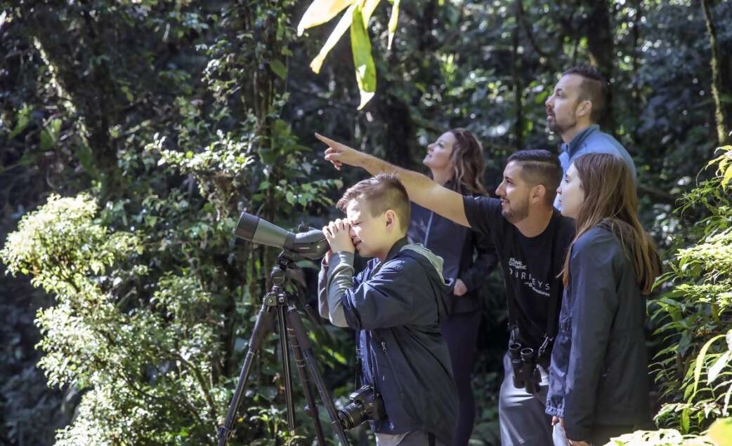 Save 15% on select Family and Classic tours