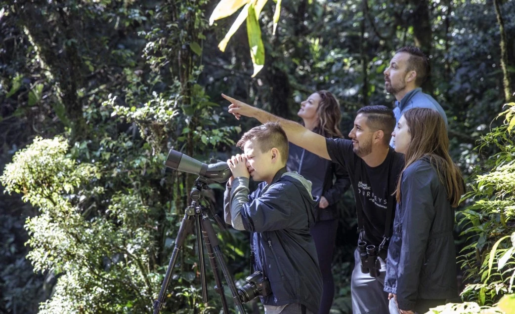 Save 15% on select Family and Classic tours