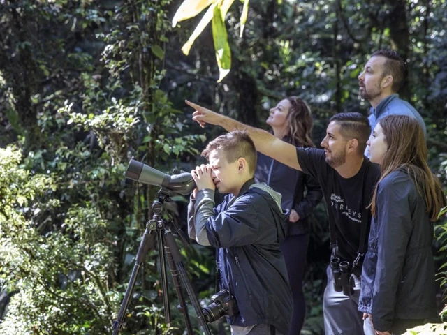 Save 15% on select Family and Classic tours