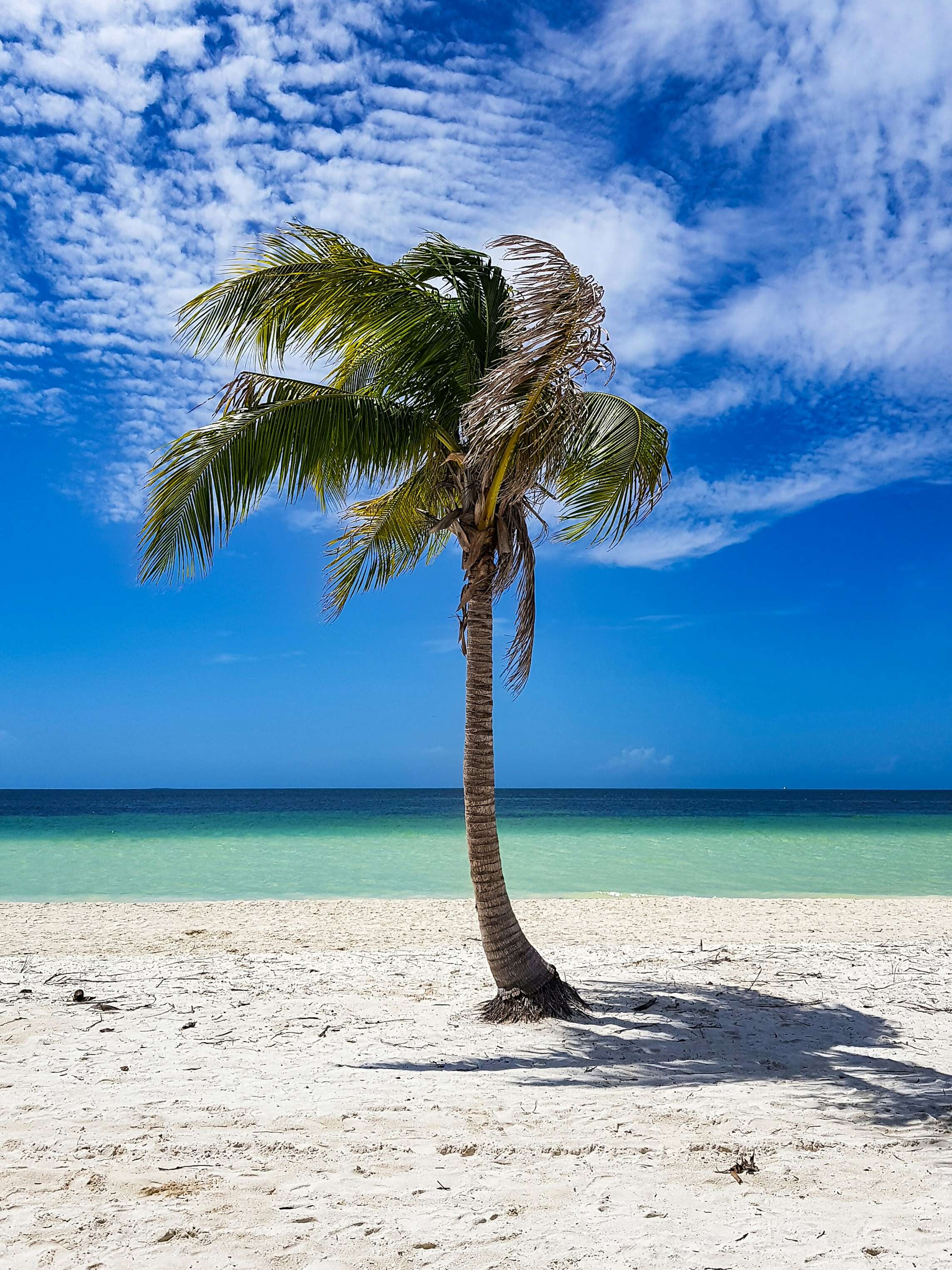 My Cuban Getaway