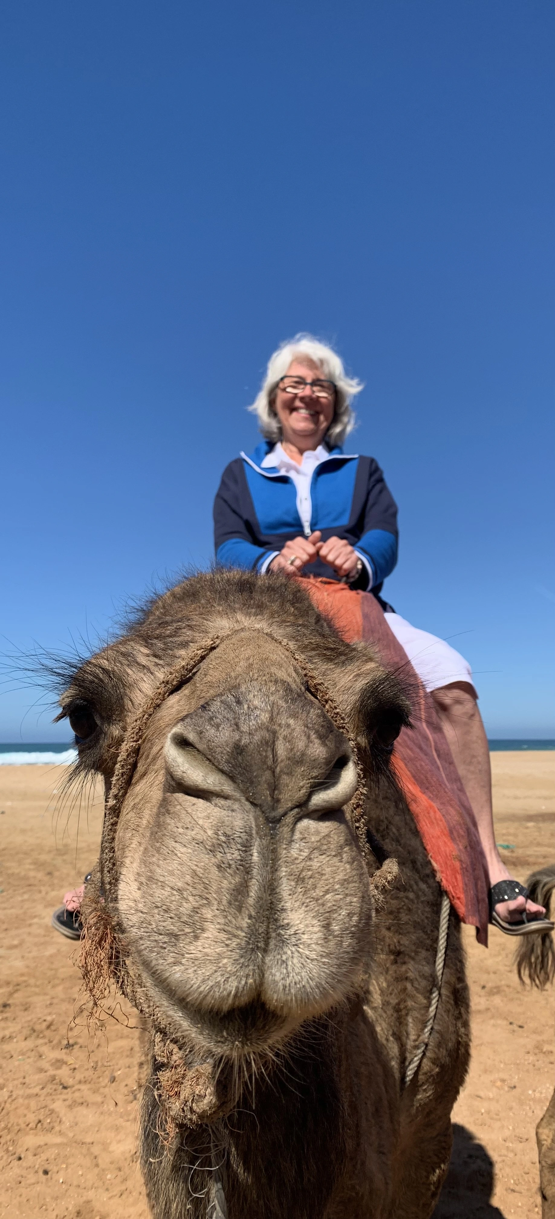 Karen Muir