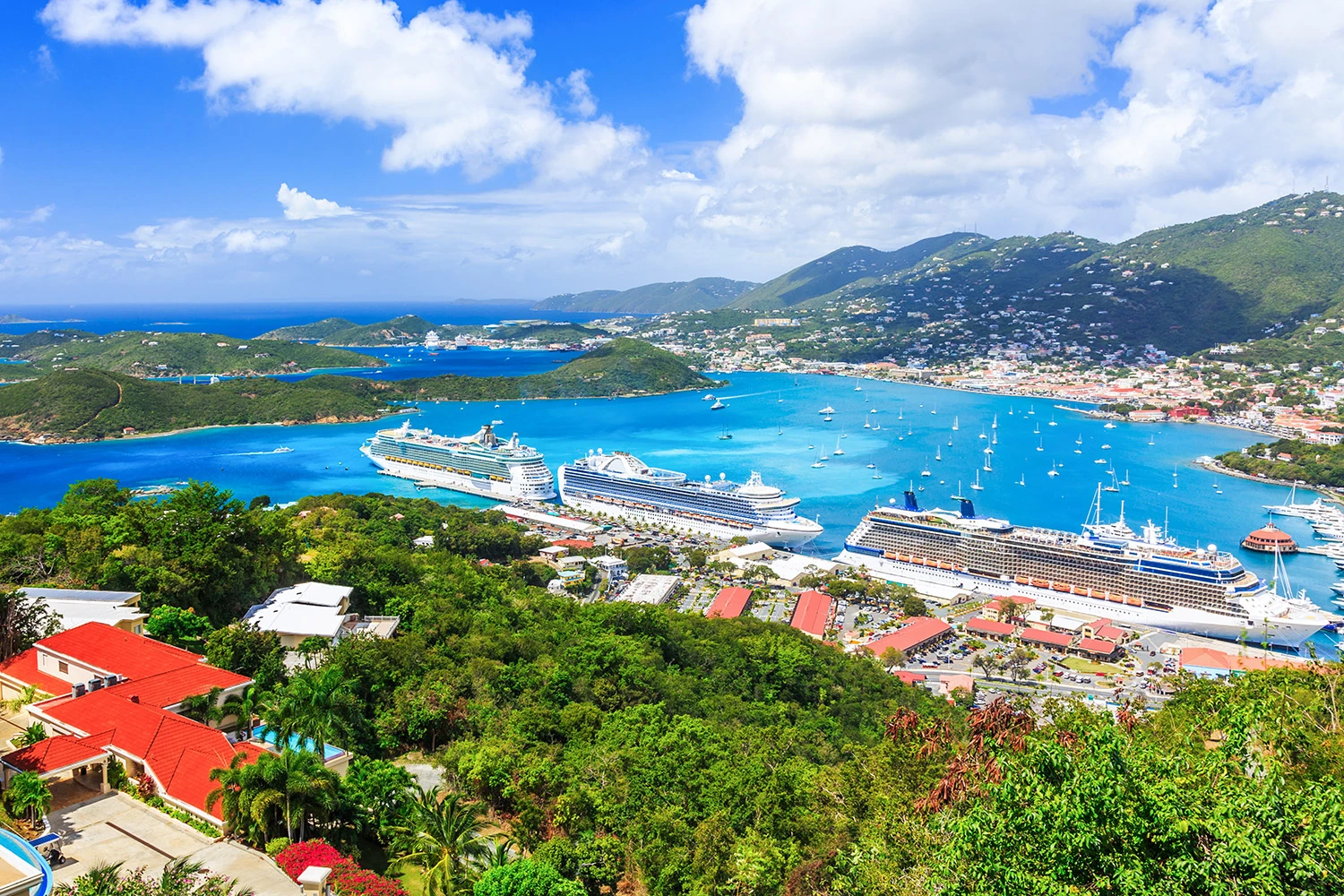 Ocean Cruises