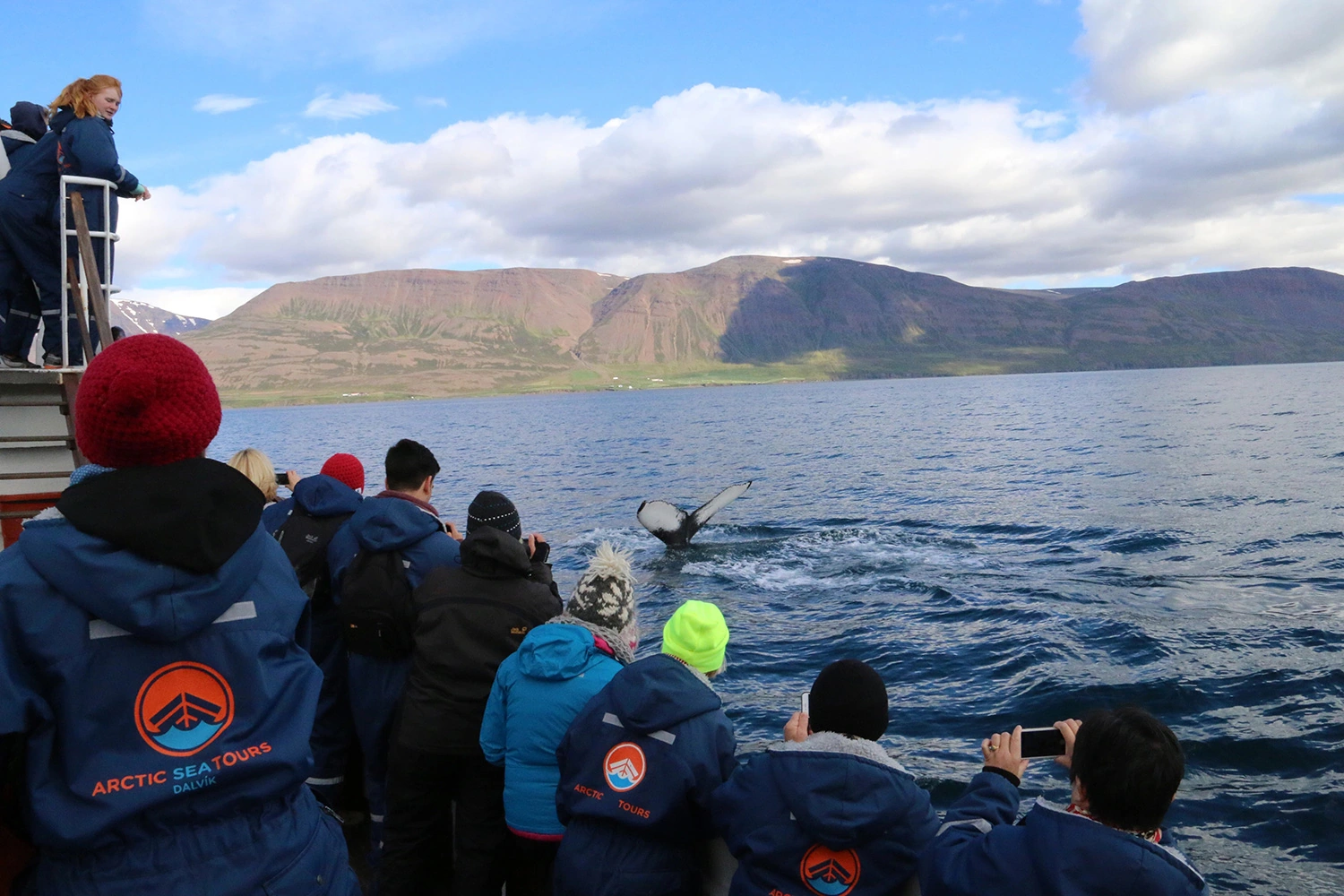 7 Day - Complete Iceland