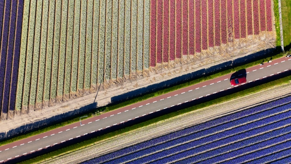 VIDEO: Incredible Tulip Time Scenes from an Emerald River Cruise in the Netherlands