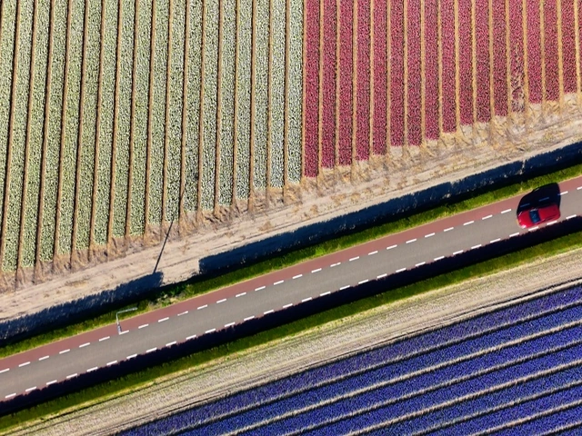 VIDEO: Incredible Tulip Time Scenes from an Emerald River Cruise in the Netherlands