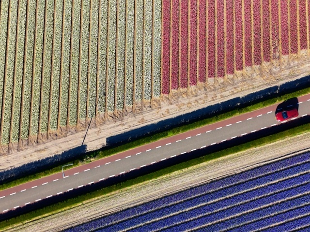 VIDEO: Incredible Tulip Time Scenes from an Emerald River Cruise in the Netherlands