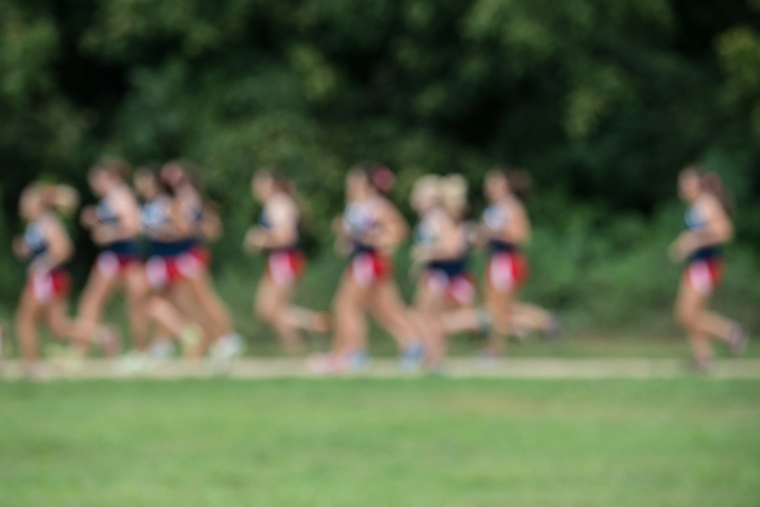 The Thrill of the Game: Exploring the Allure of Sports Travel
