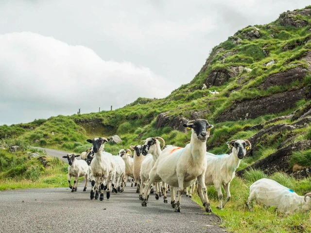 Discover Ireland in June & July 2026 with Exotik Journeys