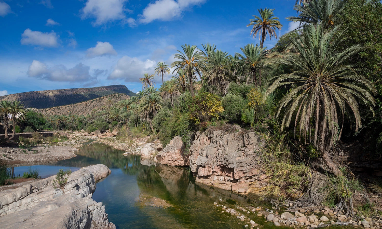 Morocco-Day05.jpg