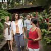 Globus & Cosmos Unveil New Tours Through Japan, India & Thailand
