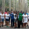Kakum Tours