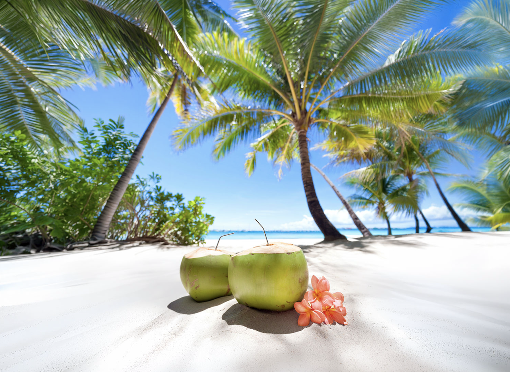 Summer on Sale! Buy One Air Canada Vacation Package, Get Up To 50% off the 2nd Traveler