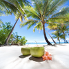 Summer on Sale! Buy One Air Canada Vacation Package, Get Up To 50% off the 2nd Traveler