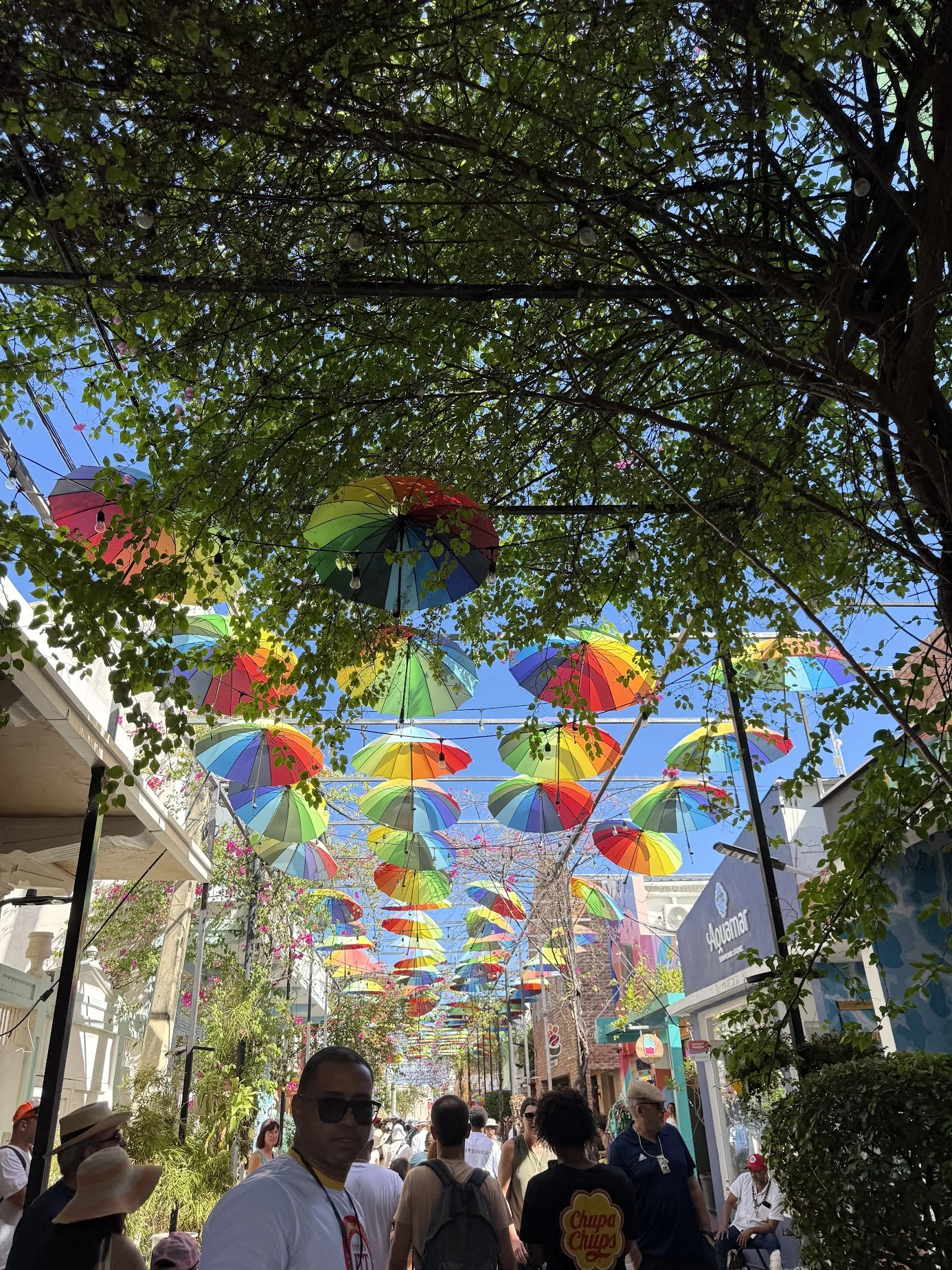 Jenn went above and beyond!