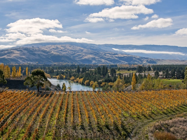 Australia & New Zealand