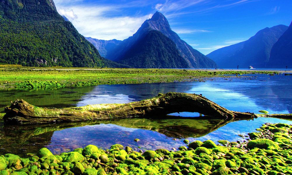 TE ANAU. EXCURSION TO MILFORD SOUND