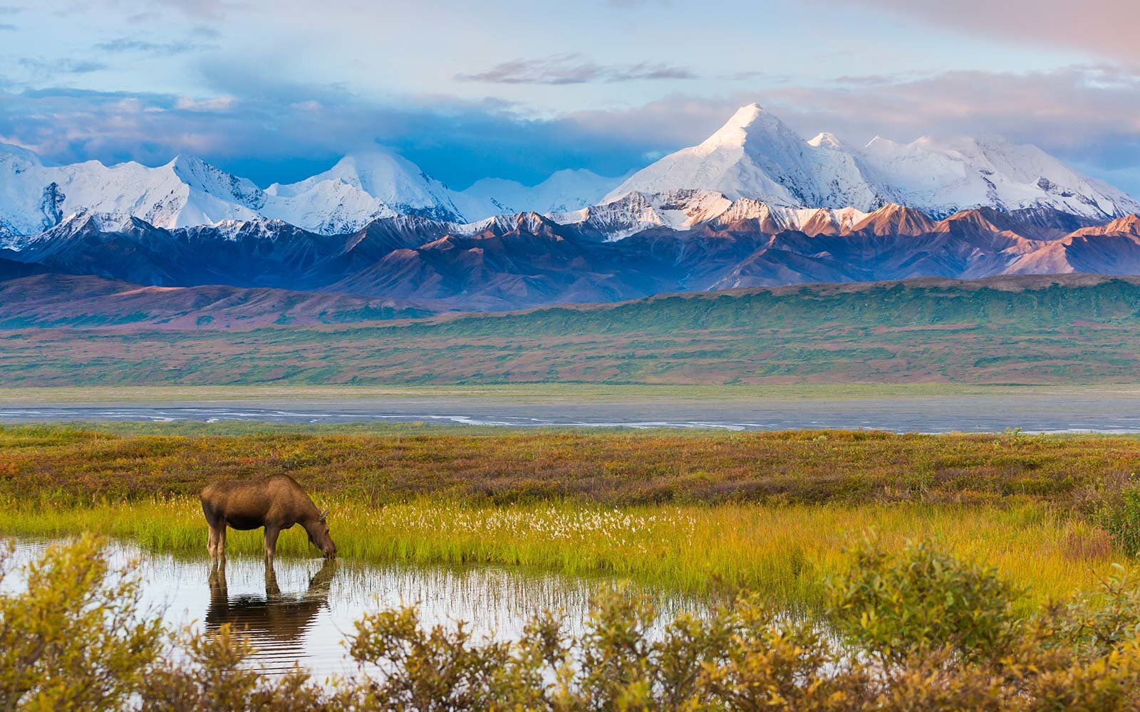 Alaska Denali National Park