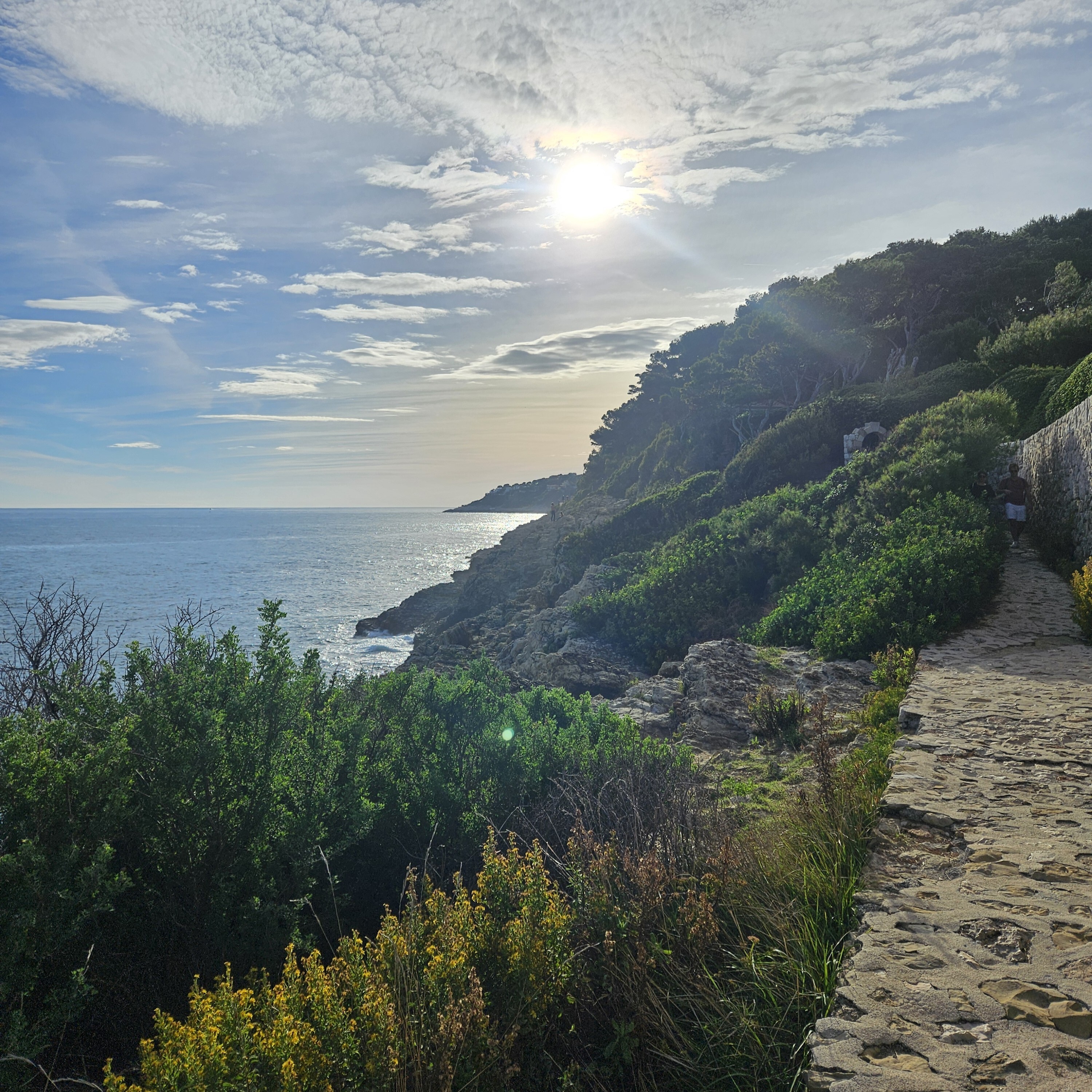 Portal to the French Riviera