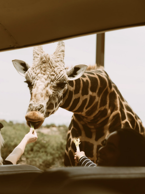 Tauck Launching Small Groups Just for Travelers in Their 40’s and 50’s