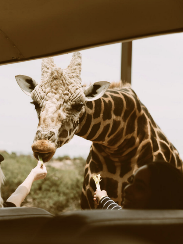 Tauck Launching Small Groups Just for Travelers in Their 40’s and 50’s