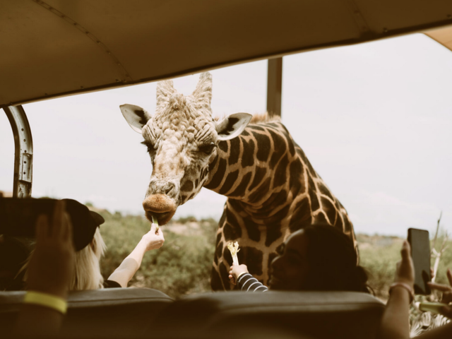 Tauck Launching Small Groups Just for Travelers in Their 40’s and 50’s