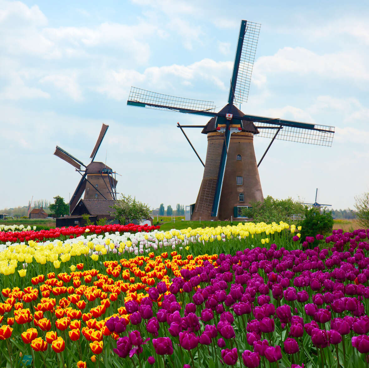 Belgium & Holland