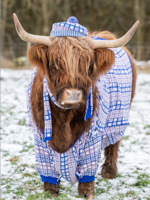 Scotland’s Cool-Weather ‘Coorie’ Culture