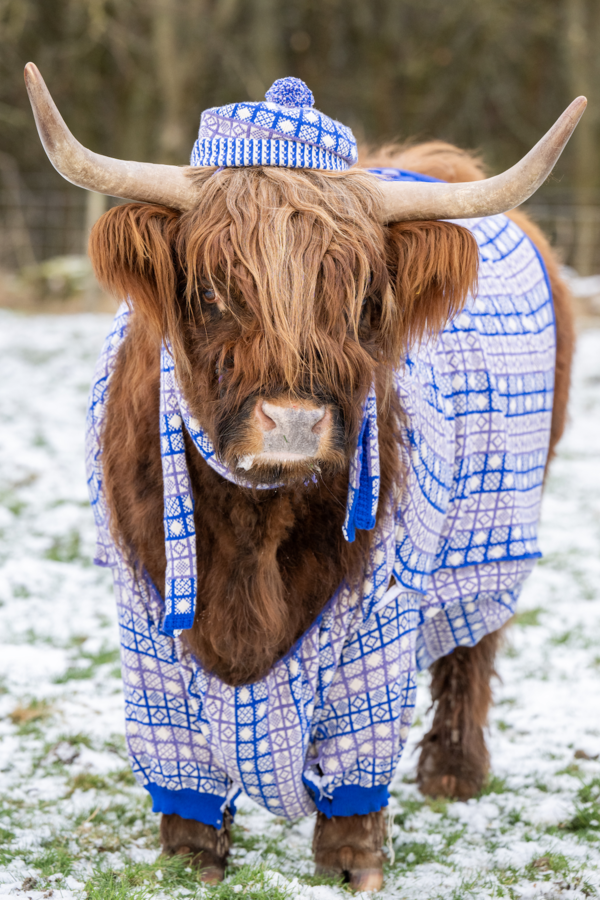 Scotland’s Cool-Weather ‘Coorie’ Culture