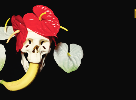 Travel Tip: Modern Museum of Budapest