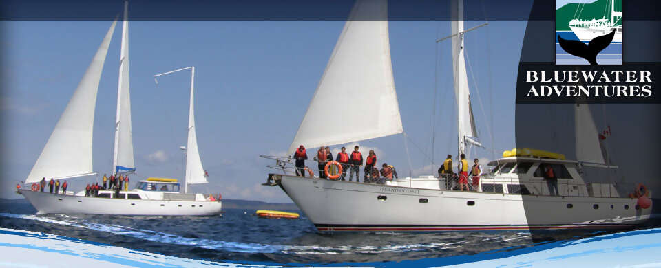 One of your Lifetime Trips with Bluewater Adventures!!!