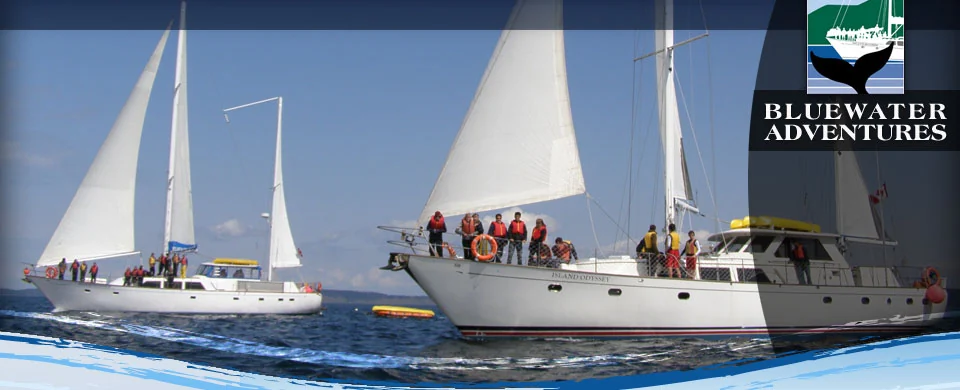 One of your Lifetime Trips with Bluewater Adventures!!!