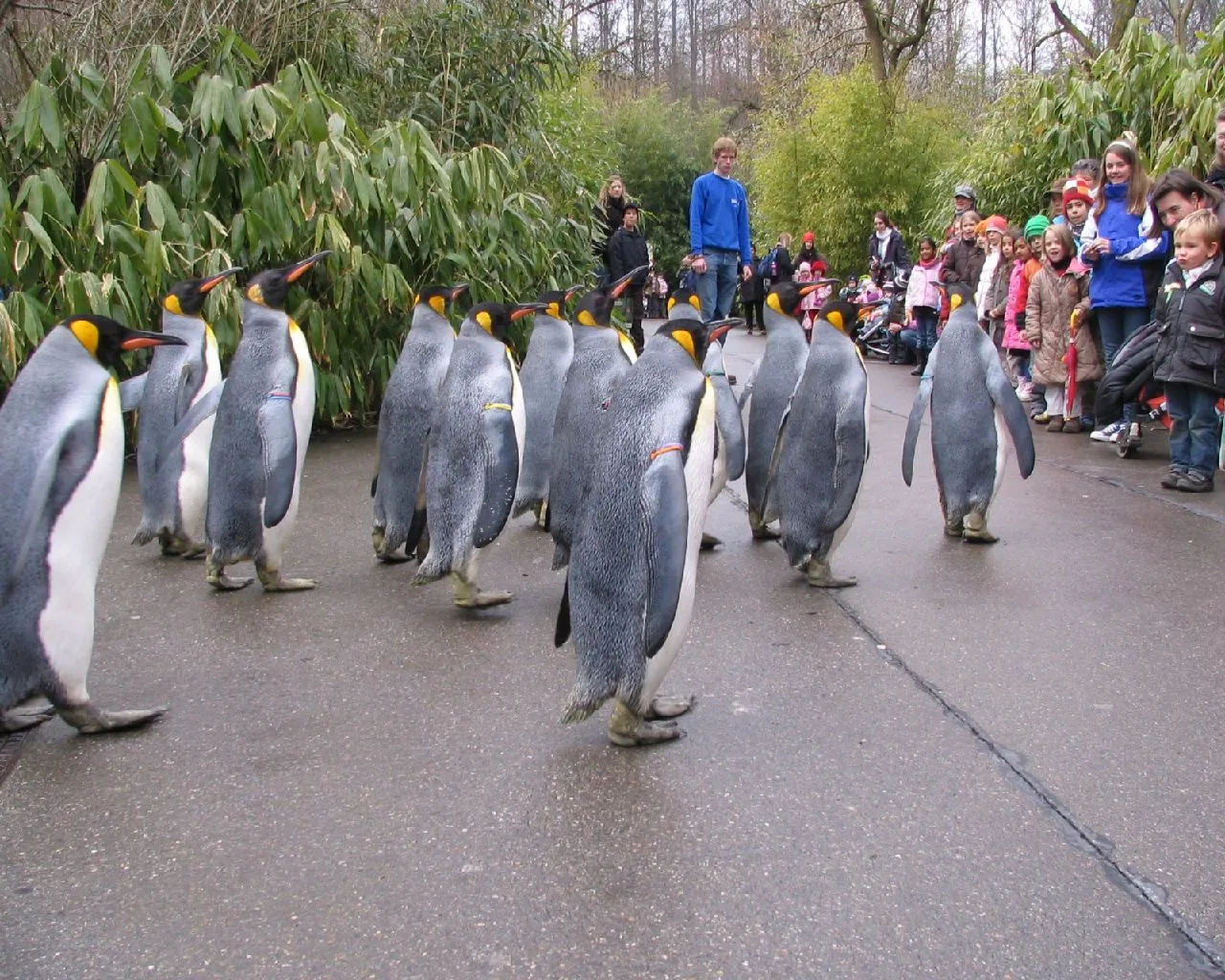 Get into the wild, Zoological Garden (Zoologischer Garten)