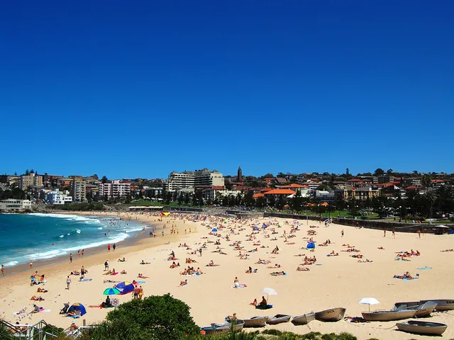 Excellent swimming and sunbathing experience in Coogee Beach