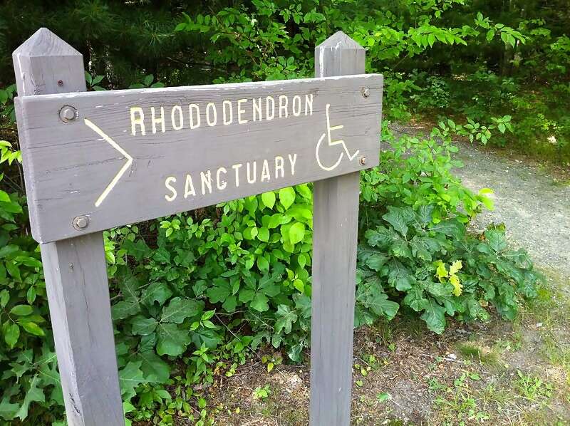 Encouraging Accessible Tourism with Customized Tours