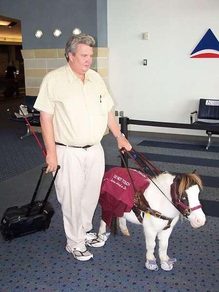 Air Travel News: Disabled Persons Could Now Travel with Their Pets