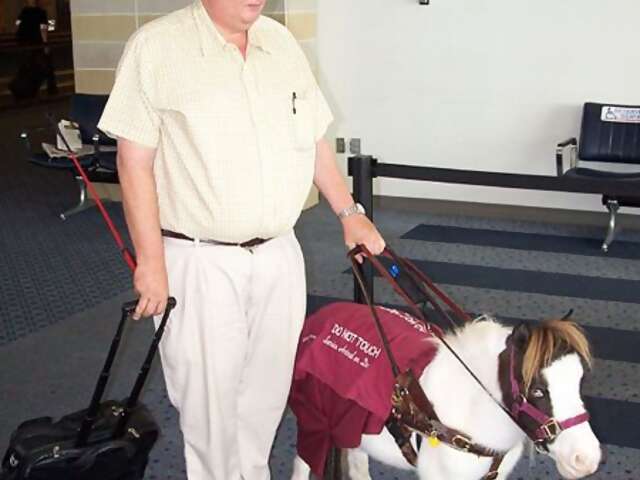 Air Travel News: Disabled Persons Could Now Travel with Their Pets