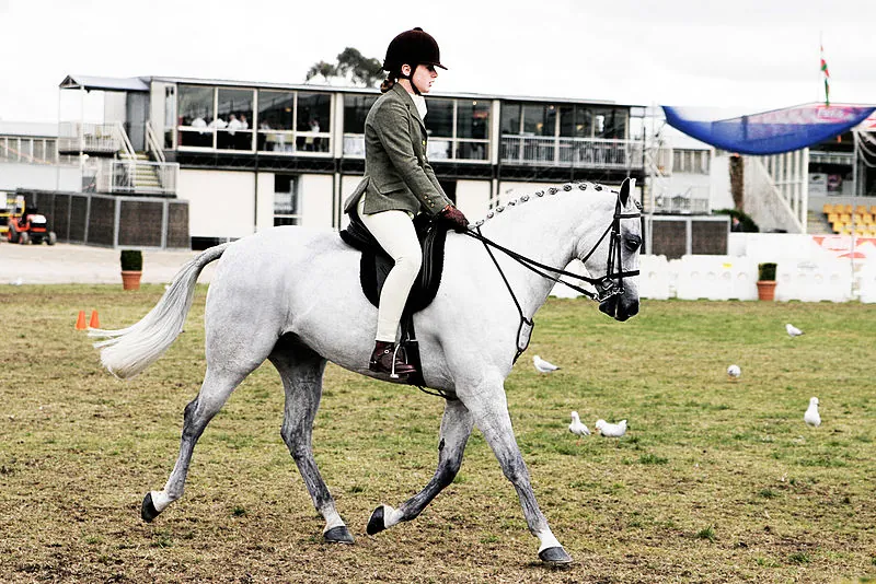 Top 2 Horseback Riding Ranches in Los Angeles