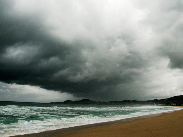 Stuck In A Hotel During A Hurricane? Here's What To Do!