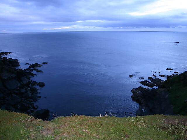 Find Birdwatcher’s Delight at the Lizard Point