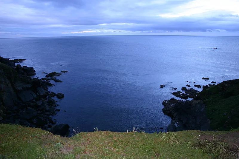 Find Birdwatcher’s Delight at the Lizard Point