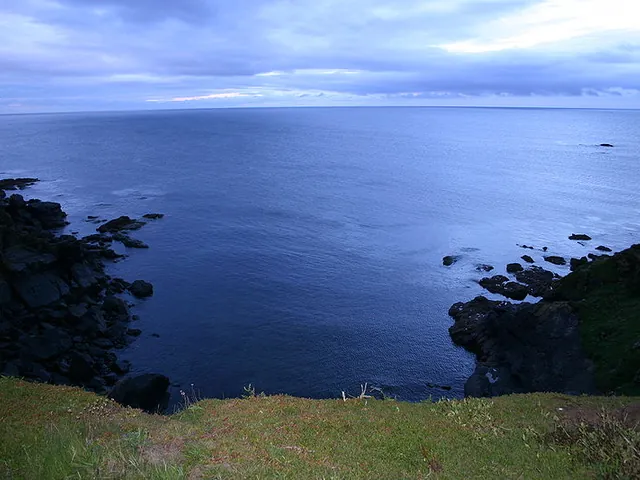 Find Birdwatcher’s Delight at the Lizard Point