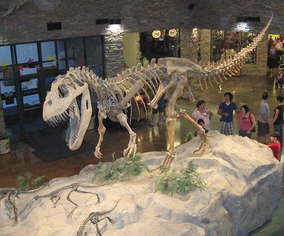 Journey through the Evolution of Dinosaurs at the Royal Tyrrell Museum