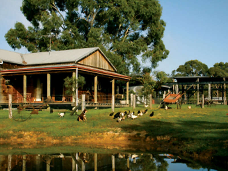 Watch the Stockman’s Roundup on a Tobruk Australian Outback Experience