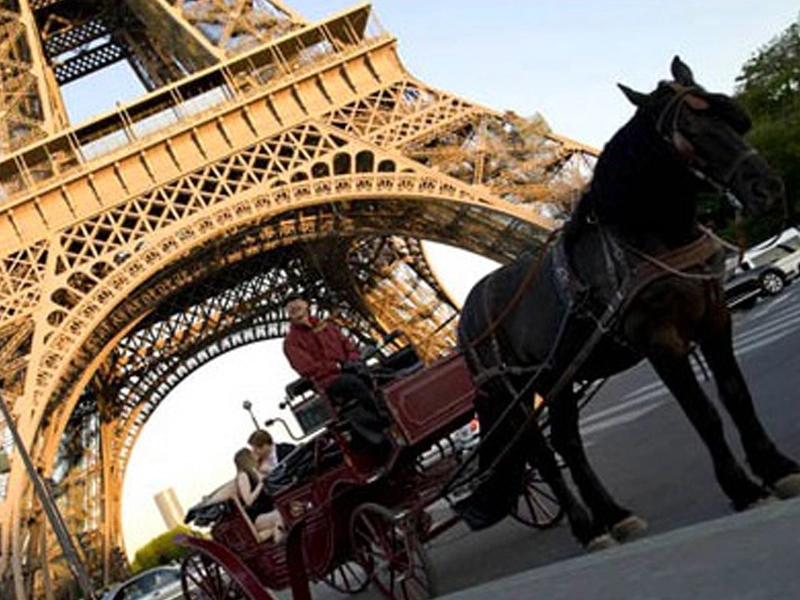 Have a Romantic Proposal on a Horse & Carriage Wedding Proposal Trip