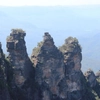 Follow the Winding Cliff Drive on a Blue Mountain Nature & Wildlife Tour