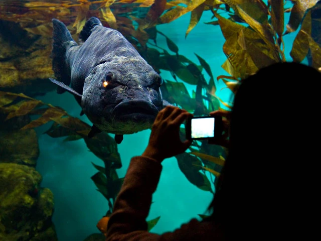 Explore a Museum at Night at California Academy of Sciences Nightlife