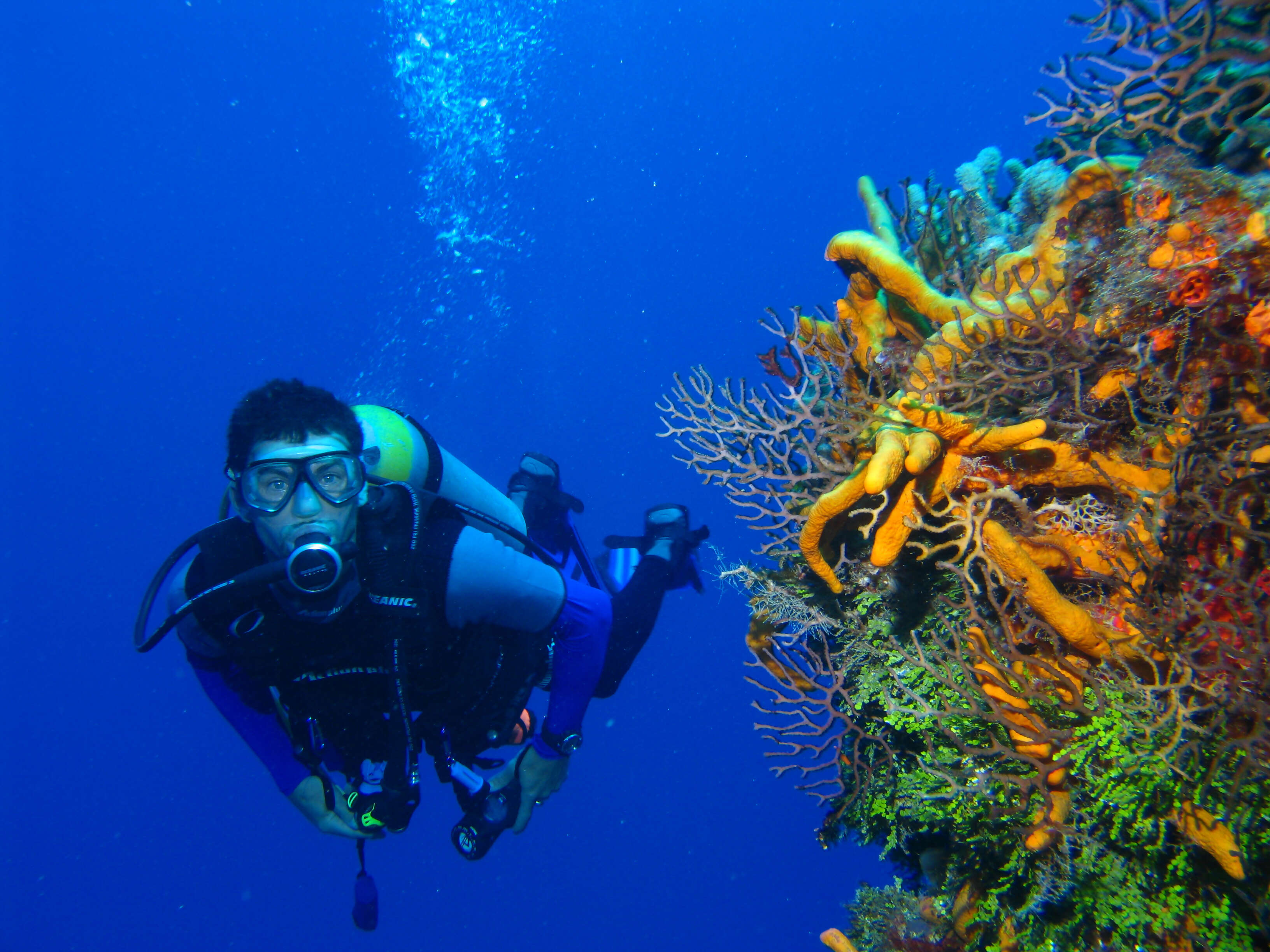 Sunbathe, Snorkel, Scuba Dive in Belize