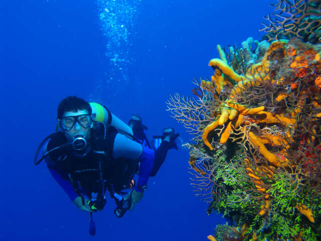 Sunbathe, Snorkel, Scuba Dive in Belize