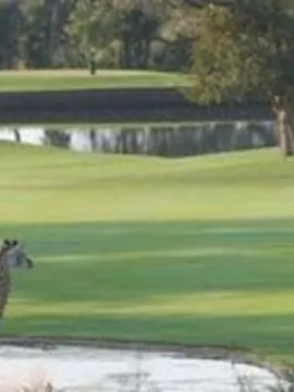African Fairways - Wild African Fairways